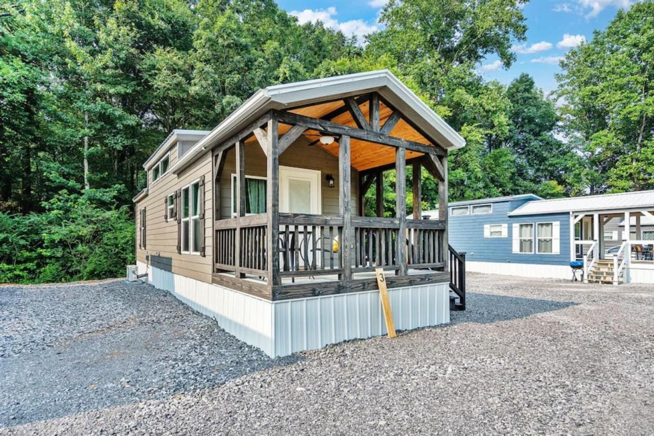 3 Bearly Working Luxury Tiny House Firepit Mins To Lake Guntersville Exteriör bild